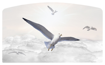 DACRO-101-WT Journey Home Clouds Birds White